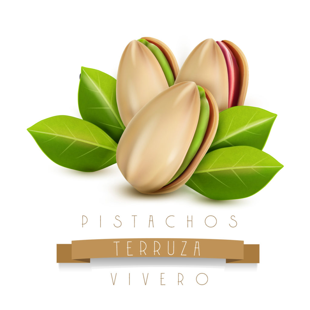Pistachos- Terruza